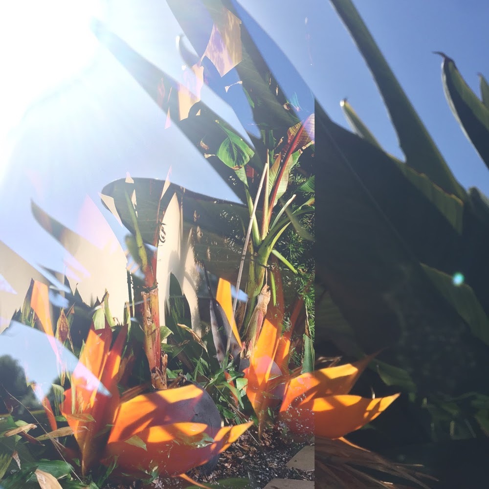 Meet your Posher, Lyndsay